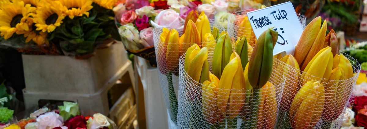 Data entry bloemenproducent