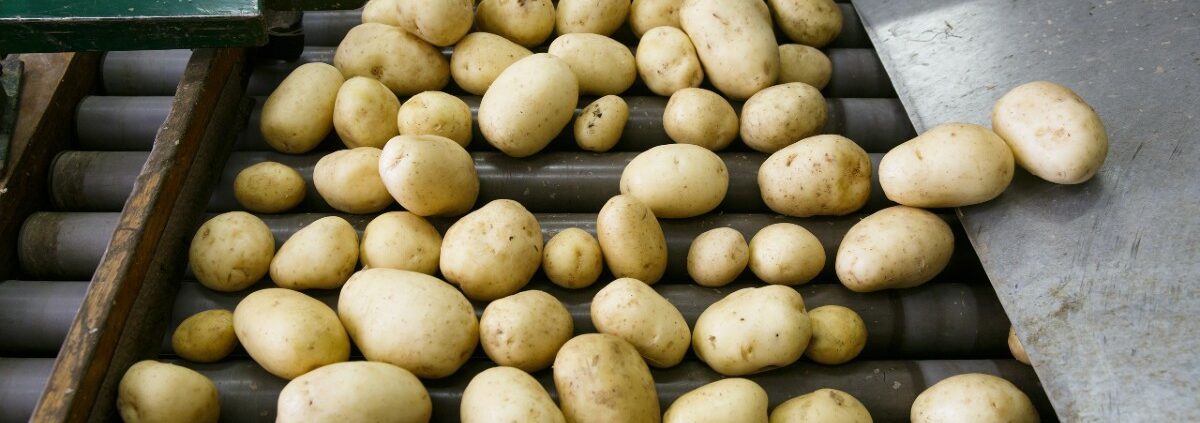 Beeldlabeling agrarische sector