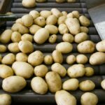 Beeldlabeling agrarische sector